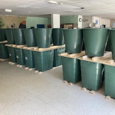 Essais de chargement statiques - Citée scolaire APT (84)