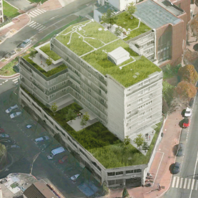 Capacité portante de toitures à Issy-Les-Moulineaux (92)